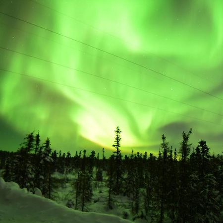 Aurora Deluxe Guest House Yellowknife Eksteriør billede