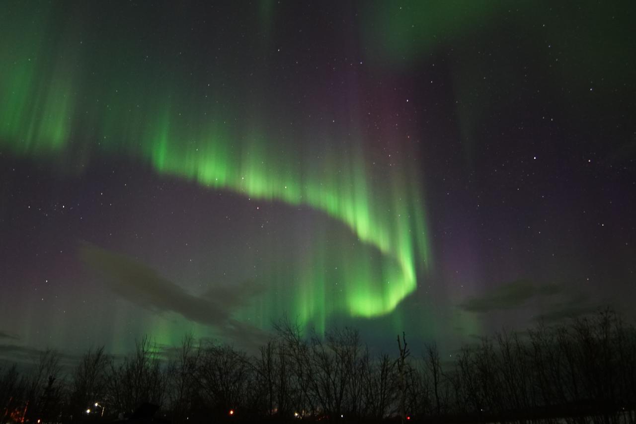 Aurora Deluxe Guest House Yellowknife Eksteriør billede