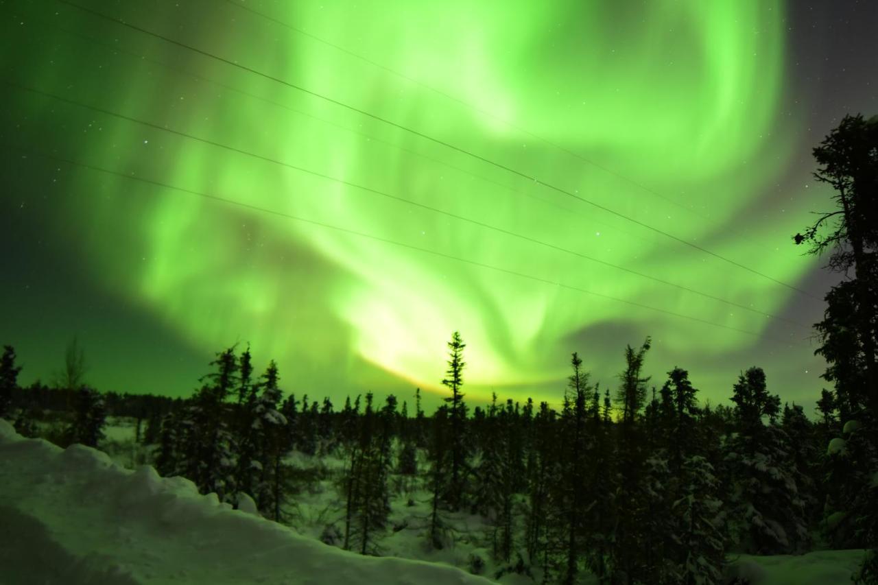 Aurora Deluxe Guest House Yellowknife Eksteriør billede